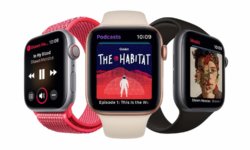 Apple Watch занимают более трети рынка «умных» часов