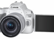 Canon EOS 250D: компактная зеркальная камера по цене $599